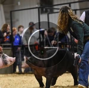 Meet your Posher, Haleigh